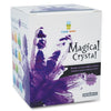 Magical Crystal Growing Kit Purple